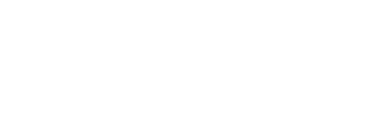 Vera logotype